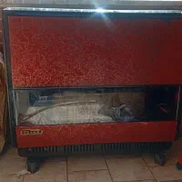 بخاری ۱۲۰۰۰هزار ایران شرق