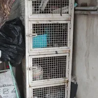 جفتکن