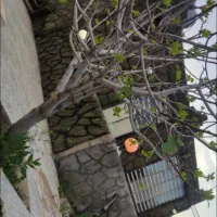 باغ-شهری-سیاخ-دارنگون-سیخ