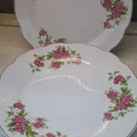 ظروف گل سرخی