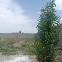 باغچه-750-متر-ماهدشت