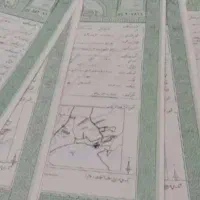 دریافت سند تک برگ/ املاک / سریع و قانونی