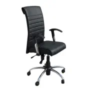 صندلی ادرای(چرخدار)
