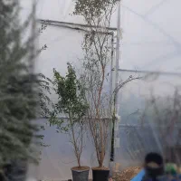 مدارک گم شده