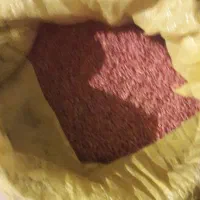 گندم بوجارئ شده دره شهر