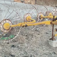 مور و ریگ..