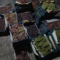 شیره انگور خانگی