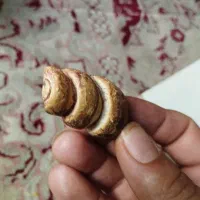 سنگ فسیل