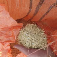 کاه گندم و جو قاطی