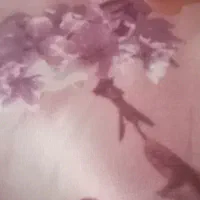 کاه کنگر