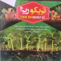 بهبود سیستم ریشه به‌واسطه تولید هورمون‌های رشدی