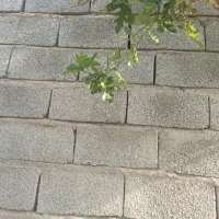 بنا هستم بلوک چینی شیب گیری