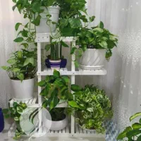 استندگل چوبی