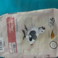 جوجه کاسکو