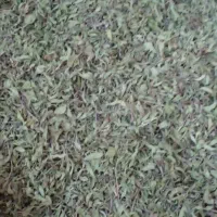 آویشن کوهی