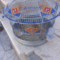 قفس دست ساز