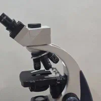 موتور سوار باموتور