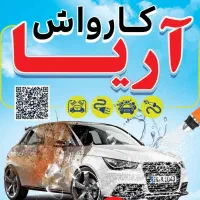 کار در کارواش