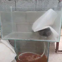 آکواریوم