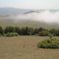 زمین مسکونی واقع در بهترین لوکیشن شهر دیلمان