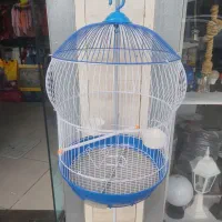 قفس گردC302