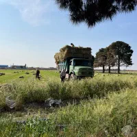 فروش یونجه پرس