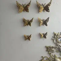 پروانه برنز