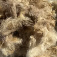 پشم گوسفندتمیز