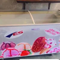 یخچال فریزرصنعتی