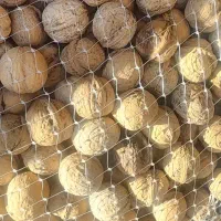 گردو‌ ،بادام درجه  ۱ ،باپوست‌ و مغز گردو عالی تازه