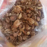 ثعلب قلوعی و پنجه عی