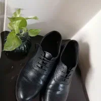 دو جفت کفش زنانه چرم
