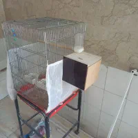 قفس  پرون