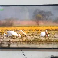 تلویزیون سامسونگ ۴۸