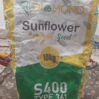 بذرآفتاب گردان s400