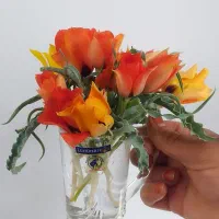 پارس مدل 1403