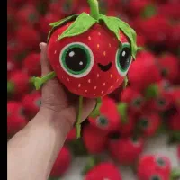 تولیدوپخش عمده فرنگیس پارچه نانو