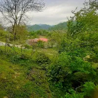 450-متر-زمین-ویلایی-ویودار