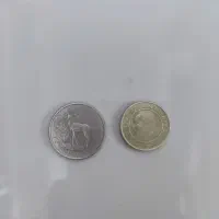 دو عدد سکه باهم