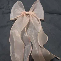 گیره مو پاپیونی نو
