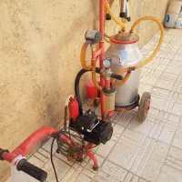 شیردوش