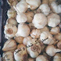 سیر محلی جنت شهر