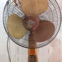 پنکه ایستاده