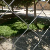 فنس و کارابین کوهنوردی