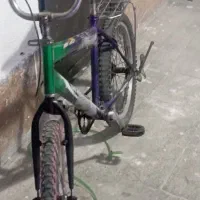 دوچرخه 20 بچگانه
