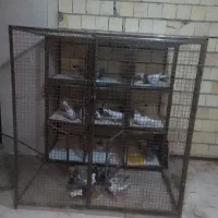 قفس جوجه کشی کبوتر بسیار جادار و زیبا ،
