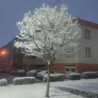 نیازمند ابیار