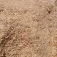 فروش کاه گندم مرغوب کرمانشاه تحویل سراسر ایران