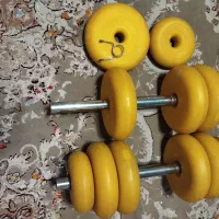 دمبل پویا