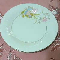 کیک خوری و پیش دستی